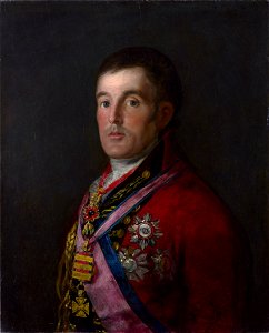Francisco Goya - Portrait of the Duke of Wellington