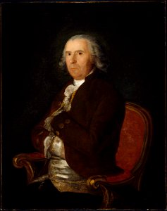 Francisco Goya y Lucientes - Portrait of a Man in a Brown Coat - 10.33 - Museum of Fine Arts