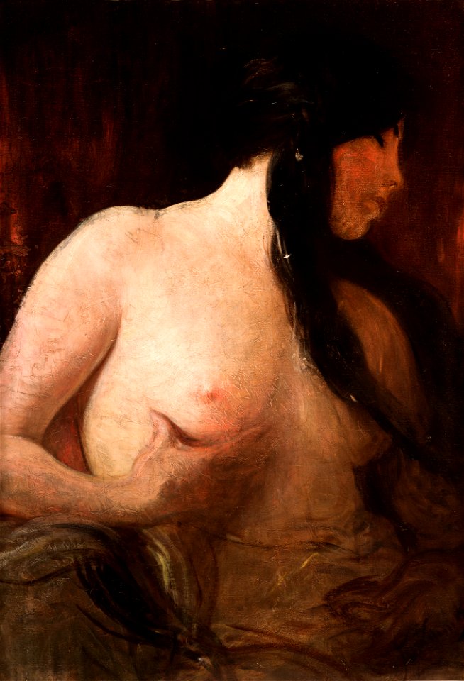Franciszek Żmurko - Black Tresses - MNK II-b-79 - National Museum Kraków