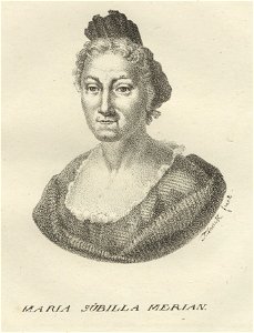 Franck Deutsche Künstler-Gallerie 1818 Bild 59