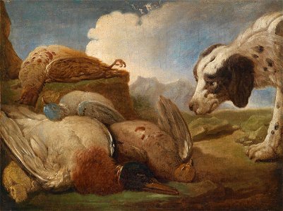 Francois Desportes (attr) Ein Jagdhund erlegtes Wildgeflügel beschnuppernd