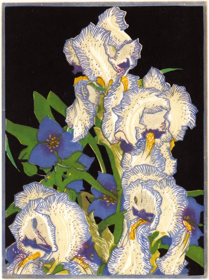 Franklin Carmichael - Pencilled Irises