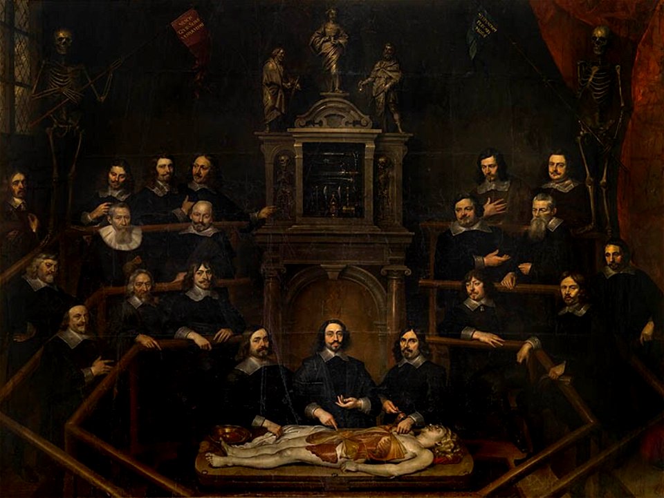 Frans Denys - The Anatomy Lesson of Dr. Joannes van Buyten