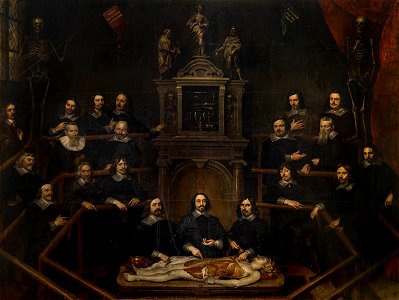 Frans Denys - The Anatomy Lesson of Dr. Joannes van Buyten