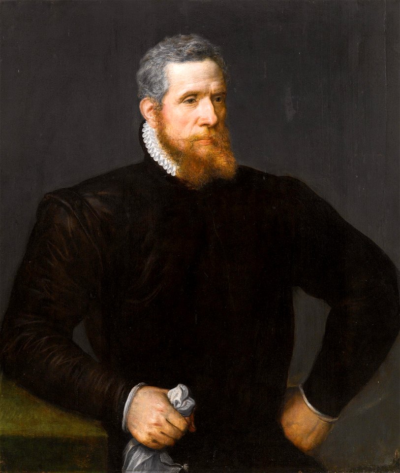 Frans Floris Portrait of a Bearded Man