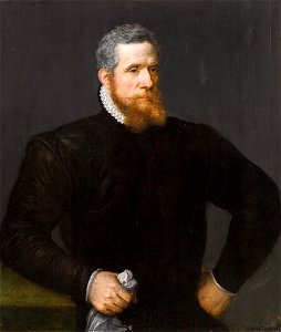 Frans Floris Portrait of a Bearded Man