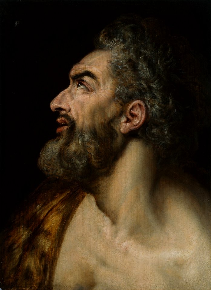 Frans Floris, I - Study Head of a Bearded Man - 1990.557 - Art Institute of Chicago