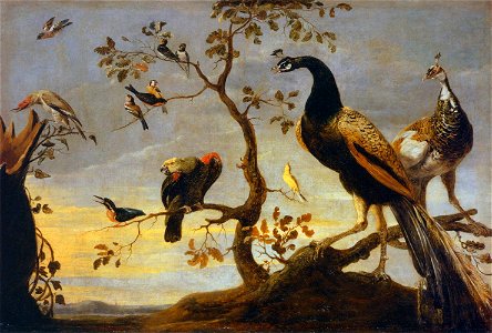 Frans Snyders - Group of Birds Perched on Branches - WGA21528. Free illustration for personal and commercial use.