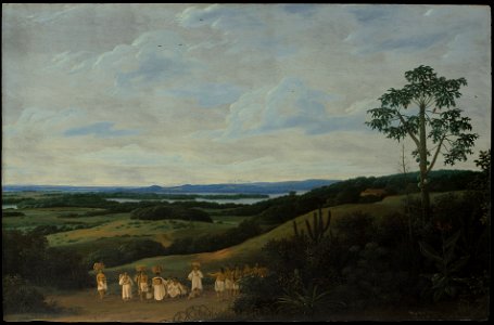 Frans Post - A Brazilian Landscape
