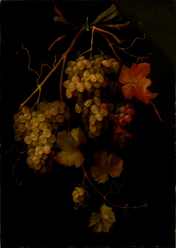 Frans van Everbroeck - Still life of grapes