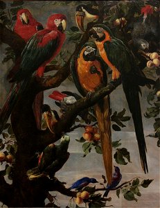 Frans Snyders - Perroquets