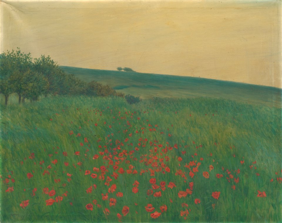 František Kaván - Red Poppies - O 4549 - Slovak National Gallery