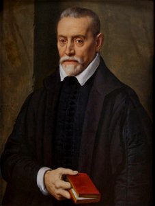 Frans Pourbus de Jongere (1569-1622) - Portret van een man - Koninklijk Museum voor Schone Kunsten Antwerpen 28-02-2010 14-14-18