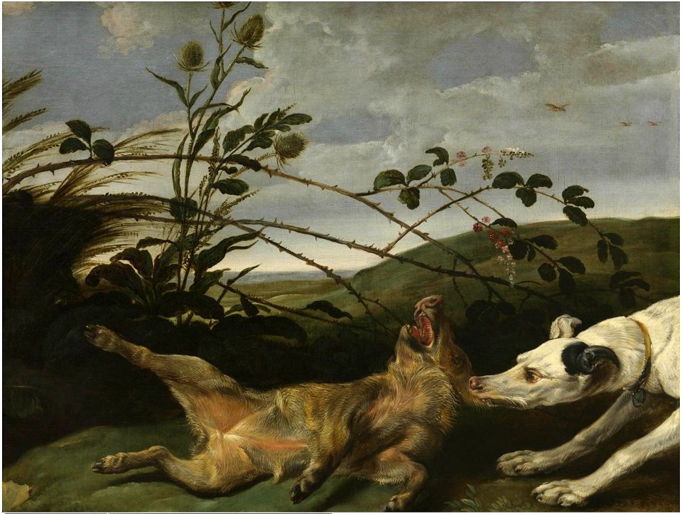 Frans Snyders - A Greyhound Catching a Young Wild Boar