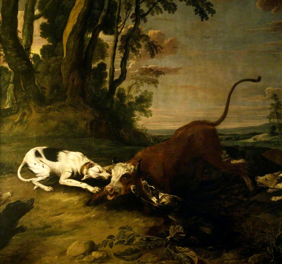 Frans Snyders (1579-1657) - Hounds Attacking a Bull - 1257146 - National Trust