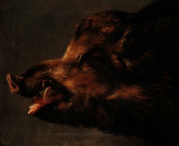 Frans Snyders (Antwerp 1579 - Antwerp 1657) - A Boar's Head - RCIN 406098 - Royal Collection