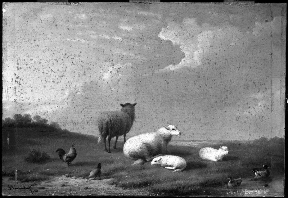 Frans Van Severdonck - Landscape with Sheep and Fowl - 1895.659 - Fogg Museum
