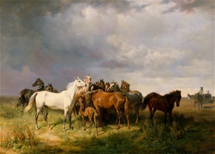Franz Adam - Pferde auf der Puszta - 11 - Österreichische Galerie Belvedere