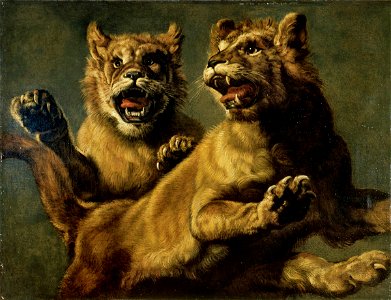 Frans Snyders - Two young jumping lions