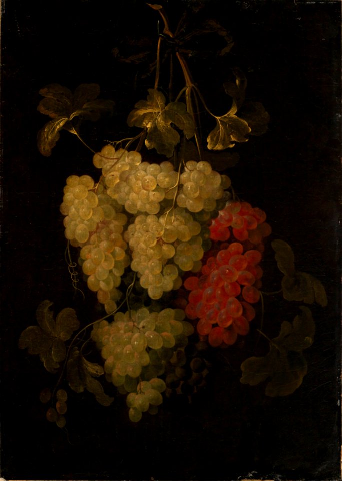 Frans van Everbroeck - Still life of grapes2