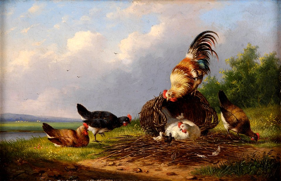 Frans van Severdonck Buntes Federvieh