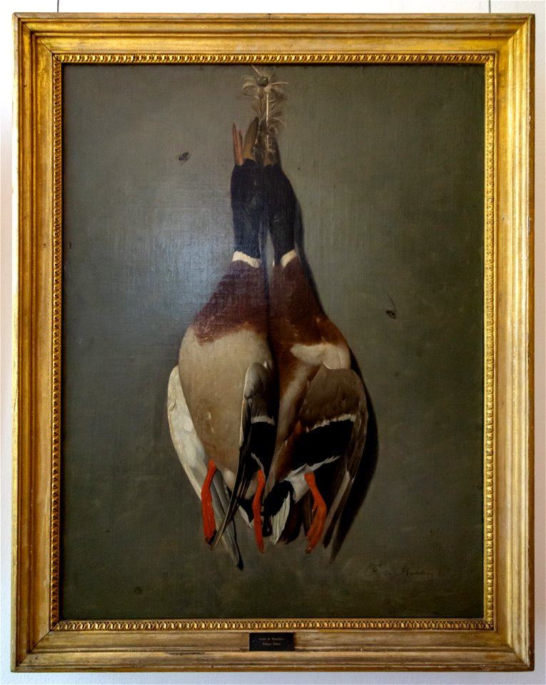 Franz de Hamilton-Erlegte Enten-4854