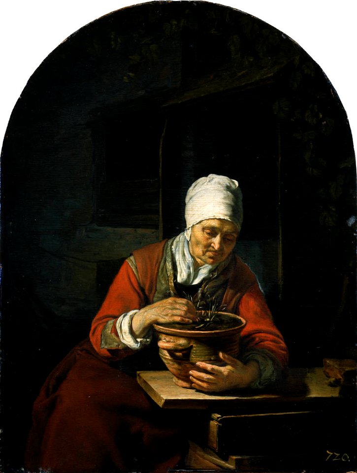 Frans van Mieris (I) - Old Woman with a Flowerpot