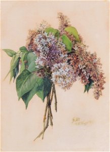 Franz Alt - Flieder - 1875