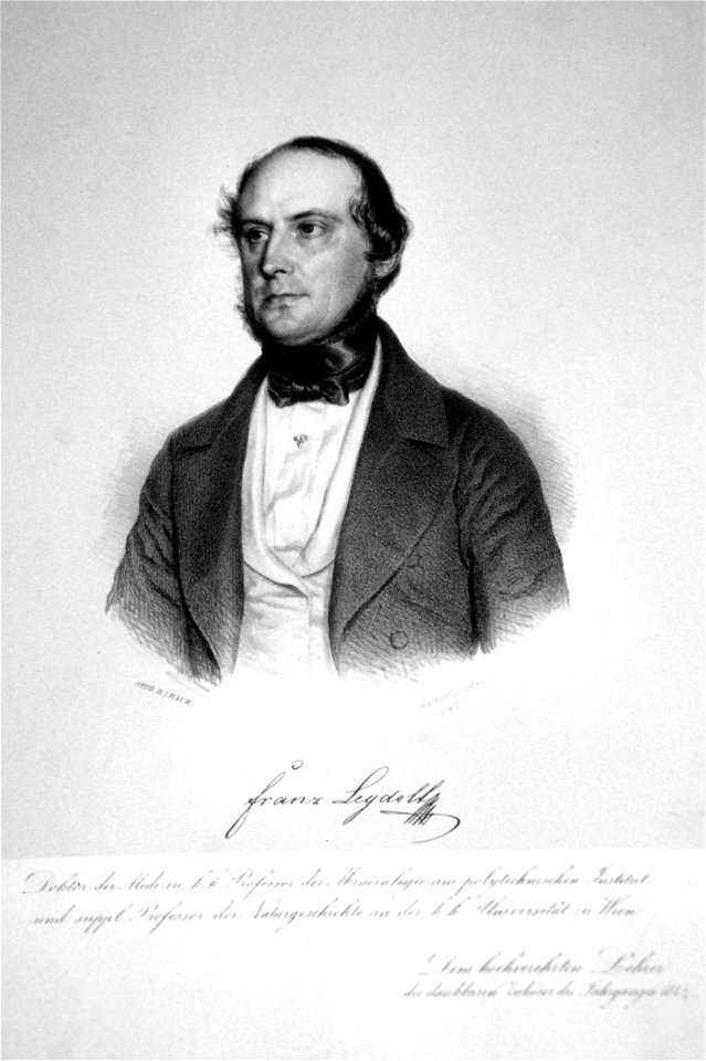 Franz Leydolt 1846 Litho