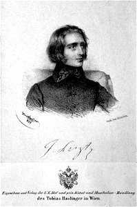 Franz Liszt 1838 Litho