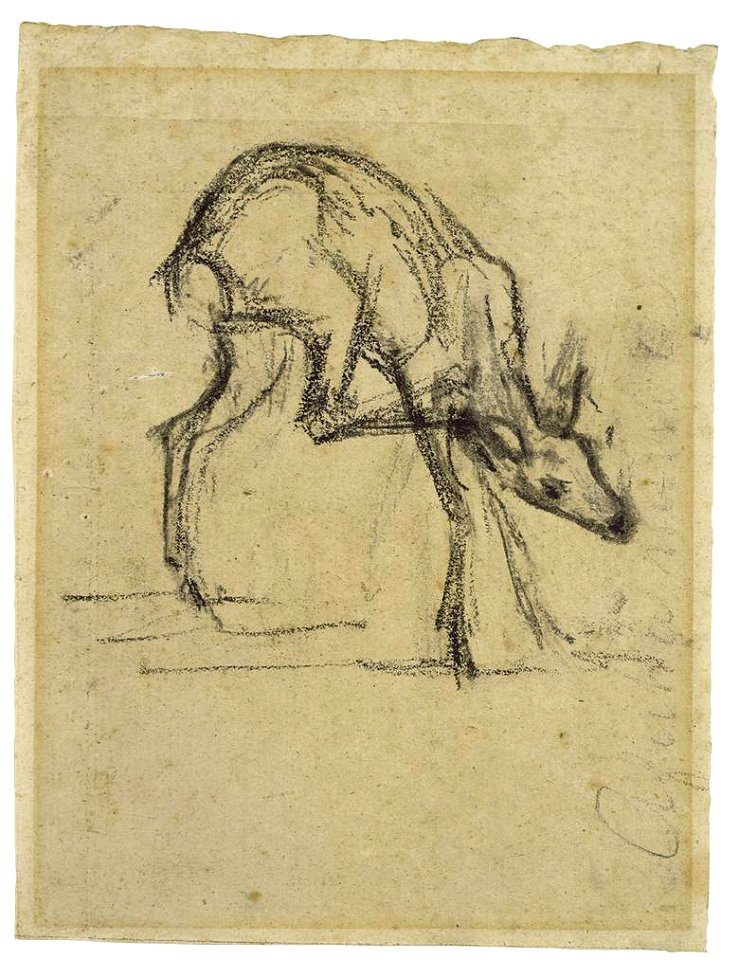 Franz Marc Rehskizze III 1908
