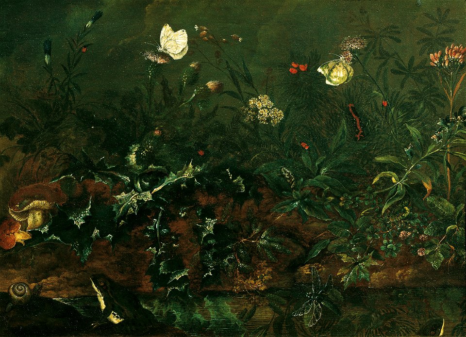 Franz Michael Siegmund von Purgau d. Ä. - Rasenstück mit Distel, Fröschen und Libelle - 5592 - Österreichische Galerie Belvedere