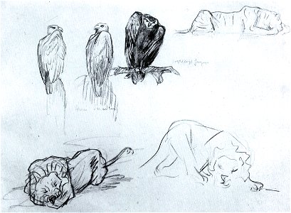 Franz Marc Seeadler und Loewen
