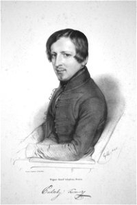 Franz Pulszky Litho