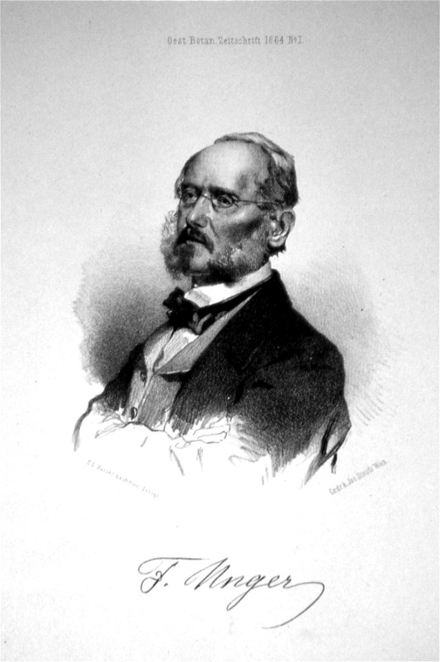 Franz Unger Litho