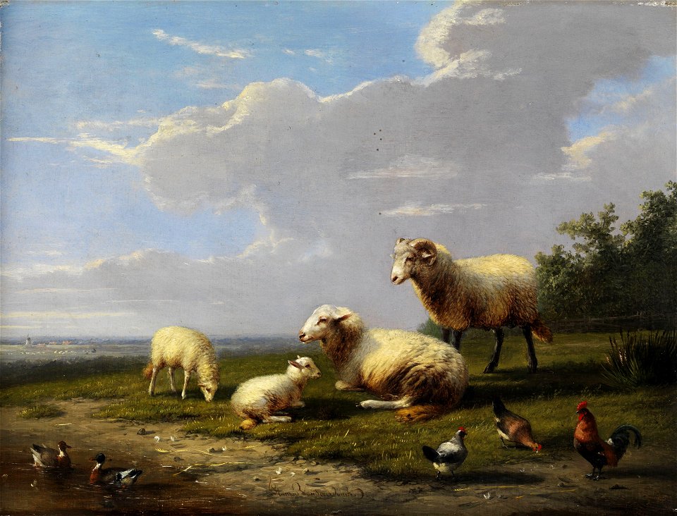 Franz van Severdonck Weite Frühlingslandschaft mit Schafen
