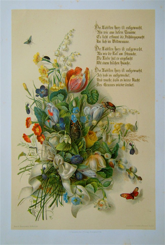 Franziska Schultze Love Spring