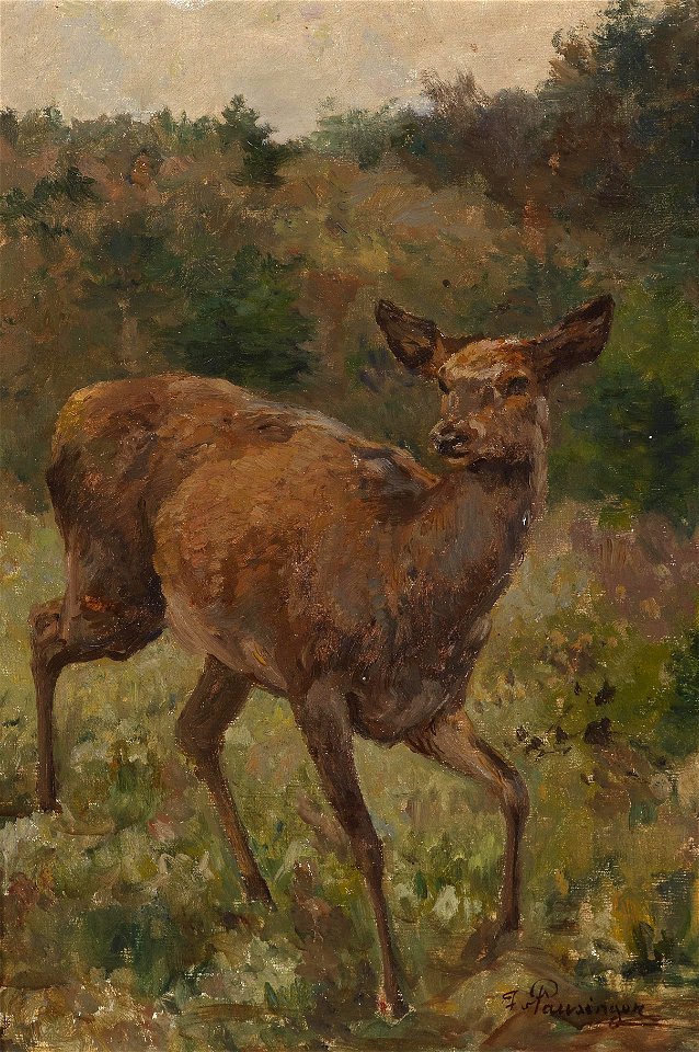 Franz Xaver von Pausinger Rotwild