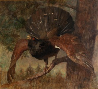 Franz Xaver von Pausinger Auerhahn