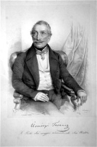 Franz von Ürmenyi Litho