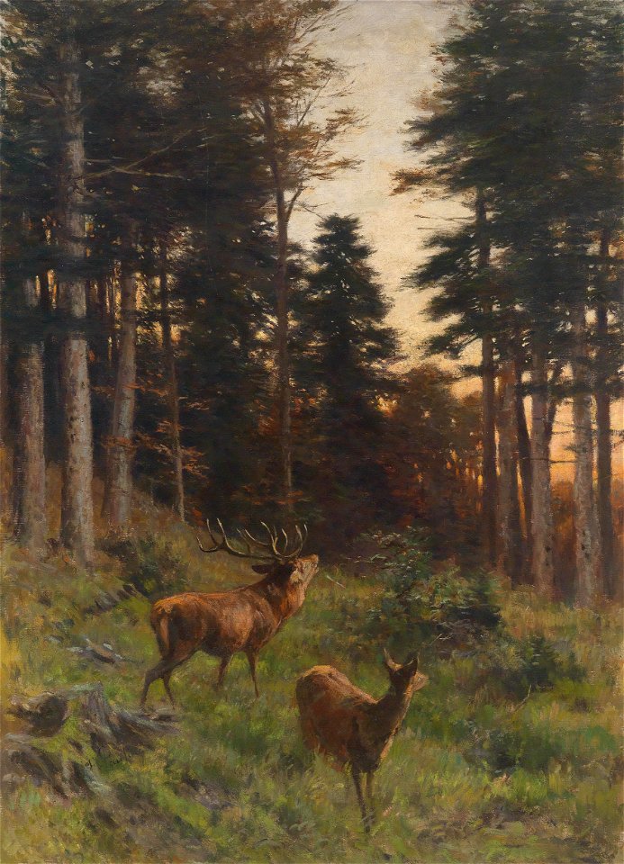 Franz Xaver von Pausinger Rotwild in der Abenddämmerung
