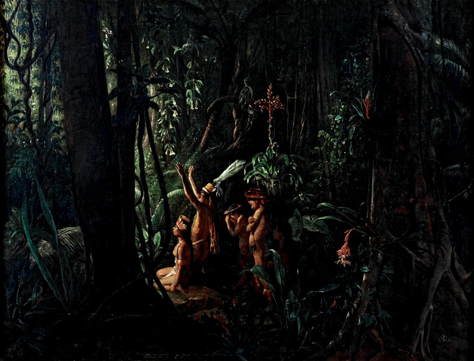 François Auguste Biard - Amazonian Indians Worshiping the Sun God - Google Art Project