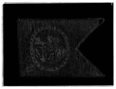 Grevebanér Stenbock - Livrustkammaren - 77170-negative