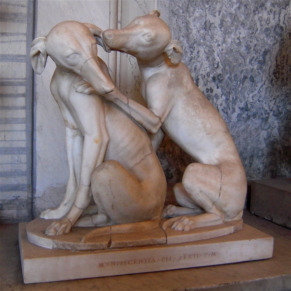 Greyhounds playing, Vatican