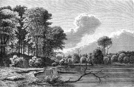 Gribsø i Gribskov