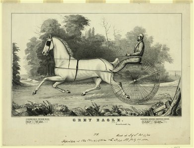 Grey Eagle, driven by Hiram Woodruff, Esq. - lith. & pub. by N. Currier. LCCN2002695814