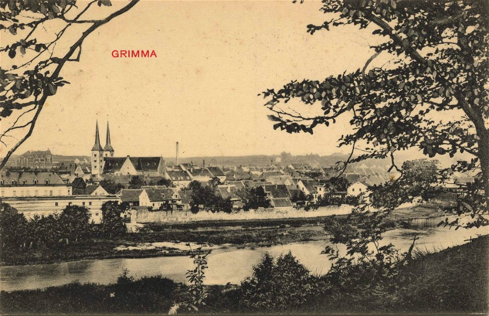 Grimma, Sachsen - Stadtansicht (Zeno Ansichtskarten)