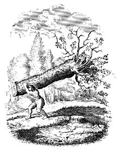 GrimmsGoblins-178-TheYoungGiantAndTheTailor