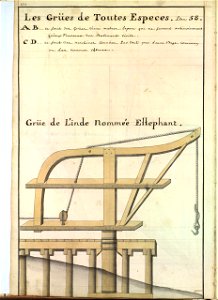 Grue de l'Inde dite éléphant
