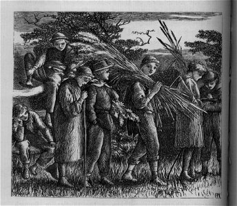 Group walking with wheat